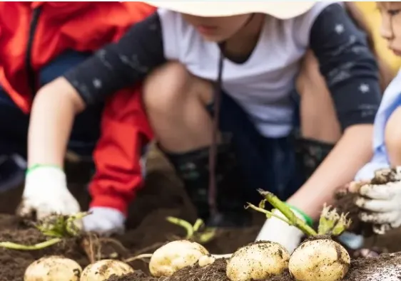 月に１回の食育活動での様々な体験を通して食べ物に関心を持ちます。